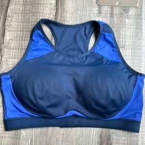 Crane Blue Sports Bra